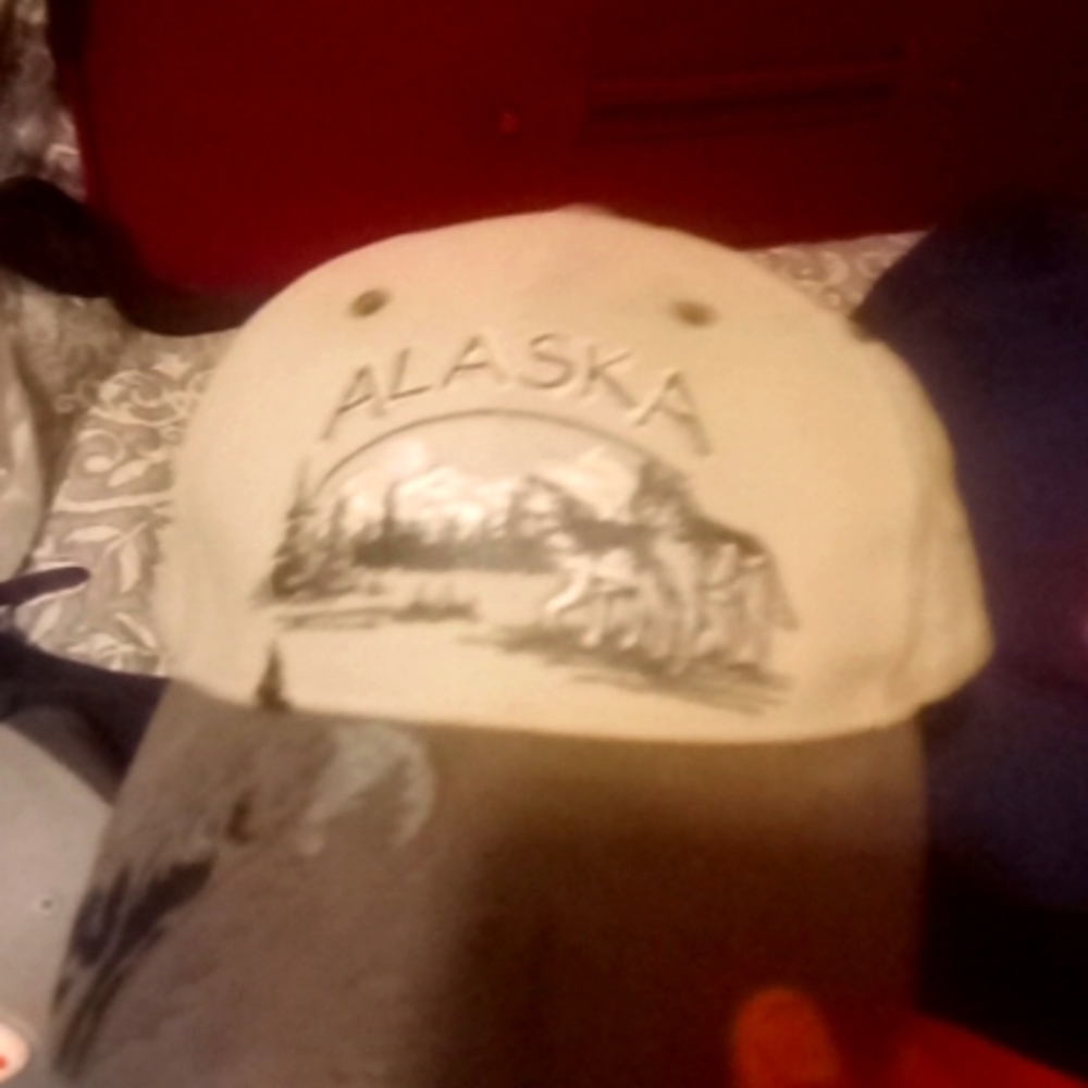 Vintage Arctic circle Alaska snapback hat. Wolves on bill and front of the hat.